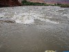 sm_p6111857.jpg