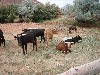 sm_p6111888.jpg