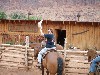 sm_p6111892.jpg