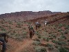 sm_p6111953.jpg