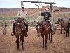 sm_p6111999.jpg