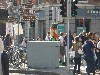 sm_P9180031.JPG