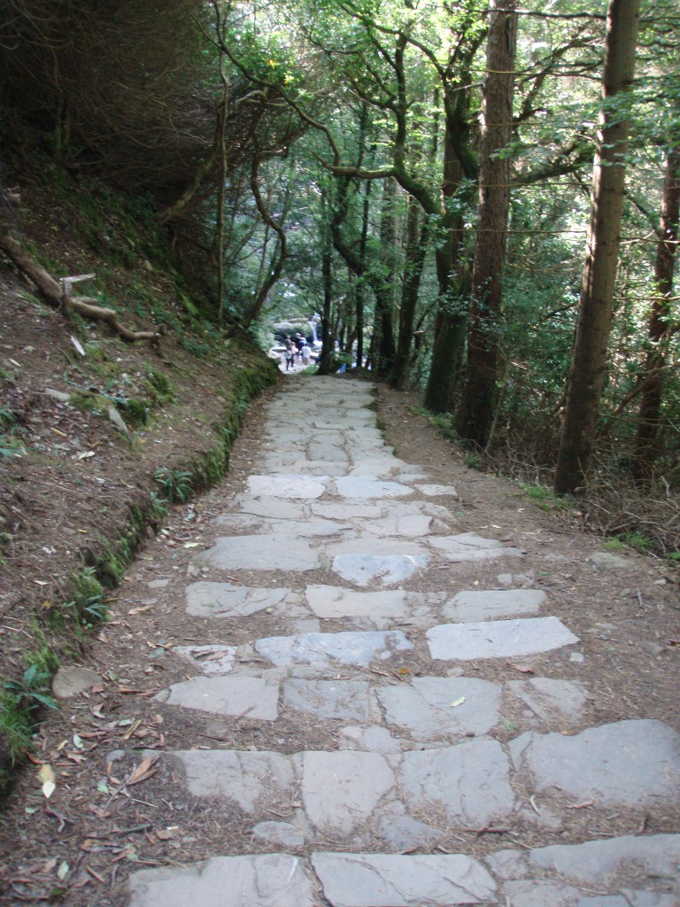 sm_P9215325.JPG