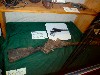 sm_DR_P8260223.JPG
