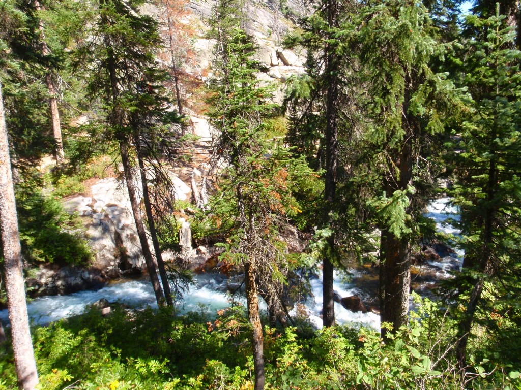 sm_AR_P8270651.JPG