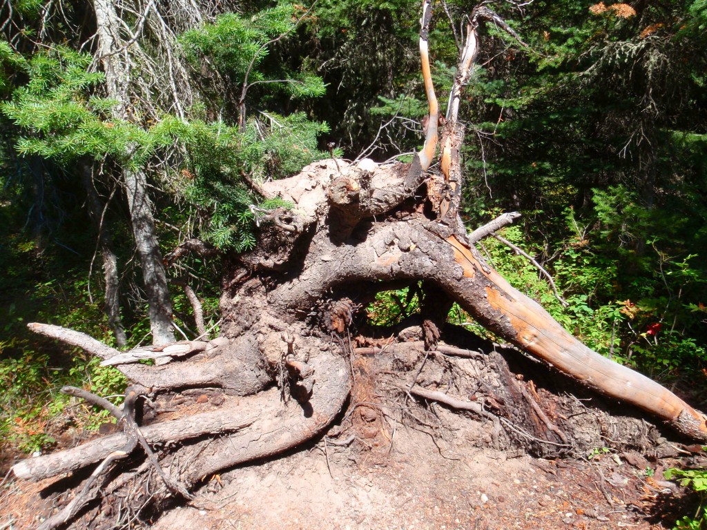 sm_AR_P8270756.JPG