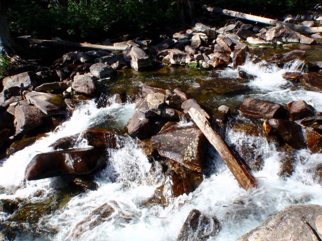 sm_DR_P8270551.JPG