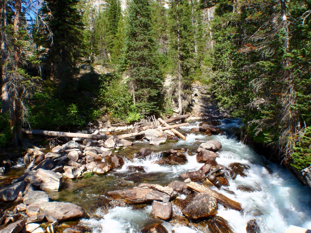 sm_DR_P8270552.JPG