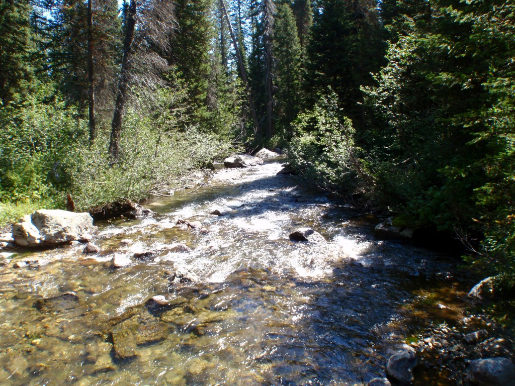 sm_DR_P8270636.JPG