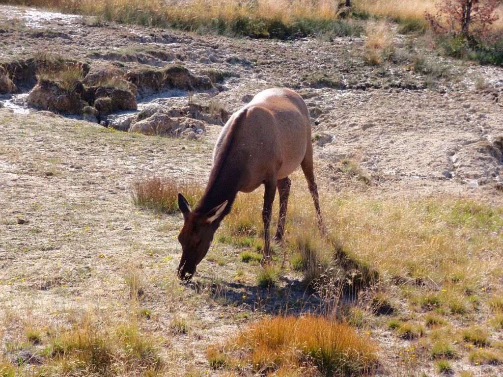 sm_DR_P8270739.JPG