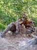 sm_AR_P8270660.JPG