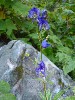 sm_AR_P8270666.JPG