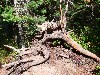 sm_AR_P8270756.JPG