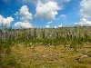 sm_AR_P8270809.JPG