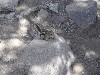 sm_DR_P8270622.JPG