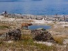 sm_DR_P8270728.JPG