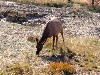 sm_DR_P8270739.JPG