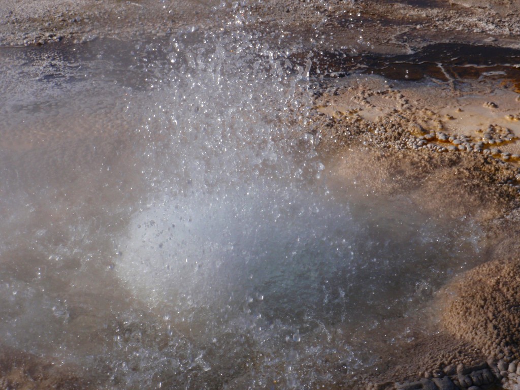 sm_AR_P8281141.JPG