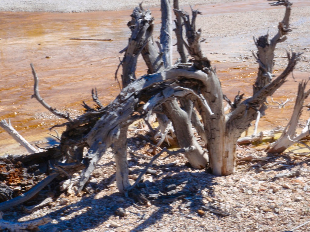 sm_AR_P8281484.JPG