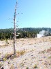 sm_AR_P8281261.JPG