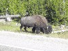 sm_DR_P8281354.JPG