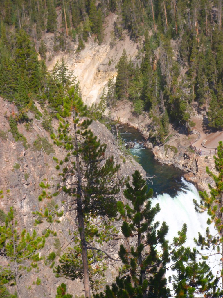 sm_AR_P8291576.JPG