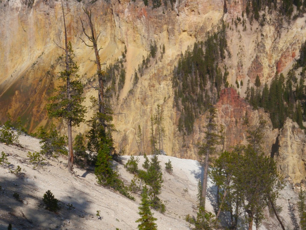 sm_AR_P8291617.JPG