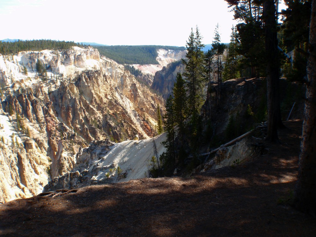 sm_DR_P8291493.JPG