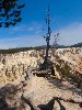 sm_AR_P8291640.JPG
