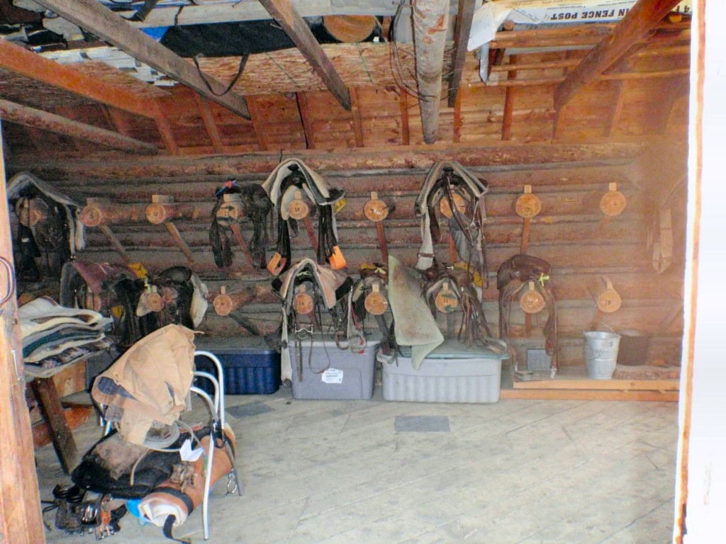 sm_AR_P8301780.JPG