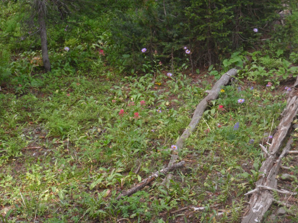 sm_AR_P8301802.JPG