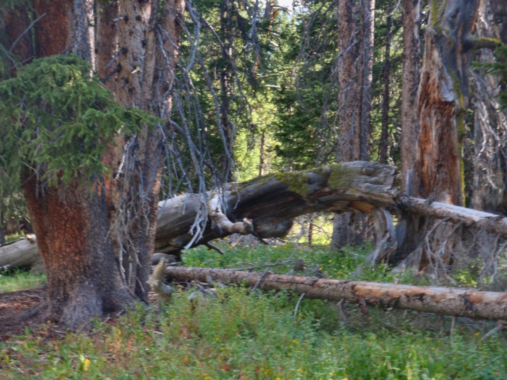 sm_AR_P8301900.JPG