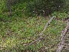 sm_AR_P8301802.JPG