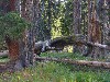 sm_AR_P8301900.JPG