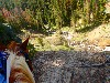 sm_AR_P8301910.JPG