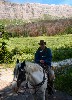 sm_AR_P8301922.JPG
