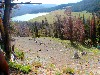 sm_AR_P8301928.JPG