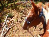 sm_AR_P8301952.JPG