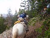 sm_AR_P8302028.JPG