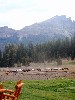 sm_AR_P8302087.JPG