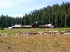 sm_DR_P8301837.JPG