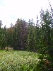 sm_DR_P8301885.JPG