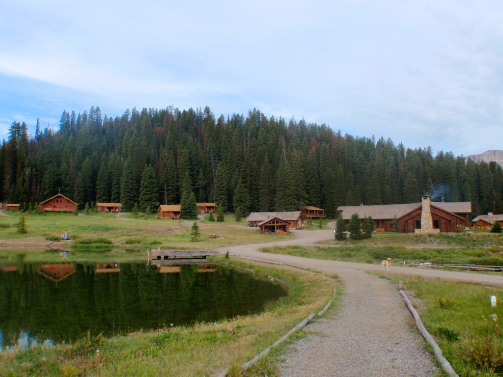 sm_AR_P8301776.JPG