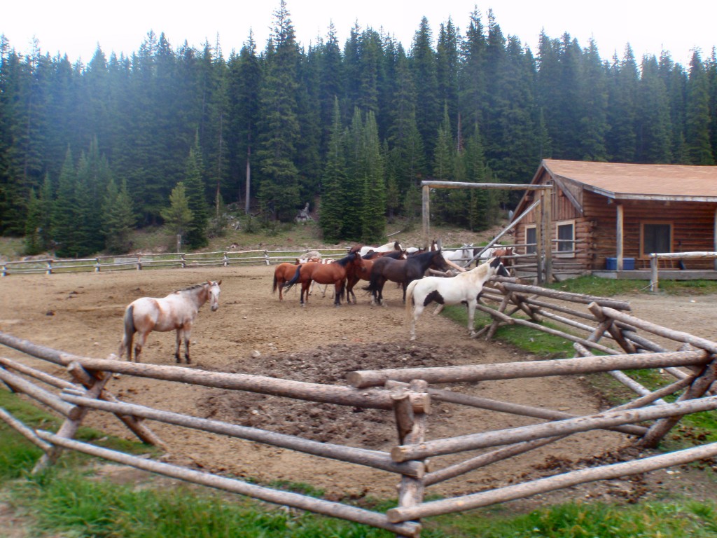 sm_AR_P8302082.JPG