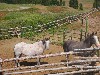 sm_AR_P8301980.JPG