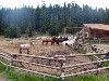 sm_AR_P8302082.JPG