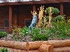 sm_AR_P8302085.JPG