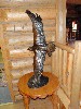 sm_DR_P8311983.JPG