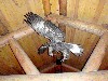 sm_DR_P8311985.JPG