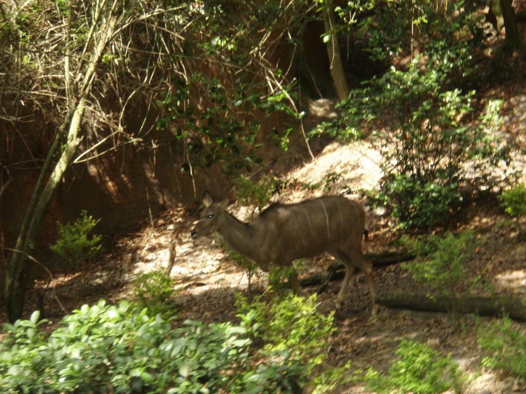 sm_P5063059.JPG